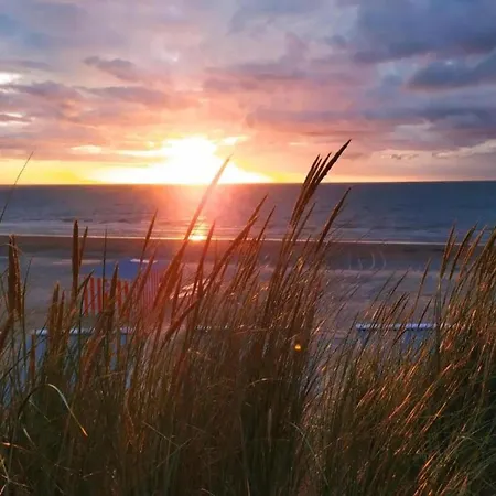 Appartement In Belgium Near The Sea *