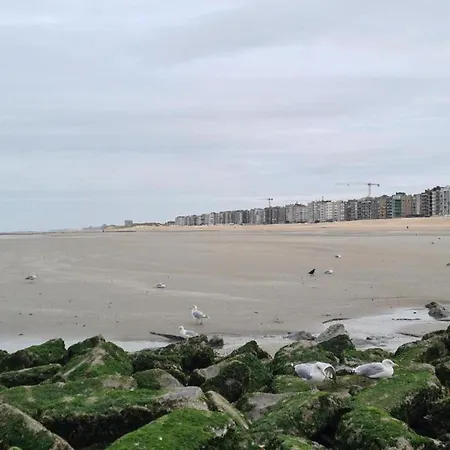 Appartement In Belgium Near The Sea *