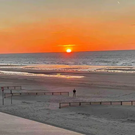 In Belgium Near The Sea Appartement