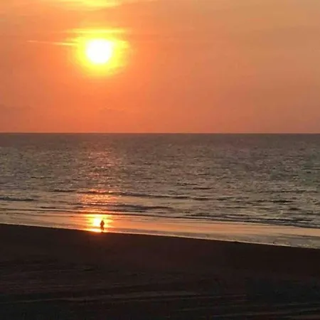 In Belgium Near The Sea *