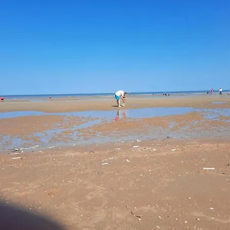 In Belgium Near The Sea