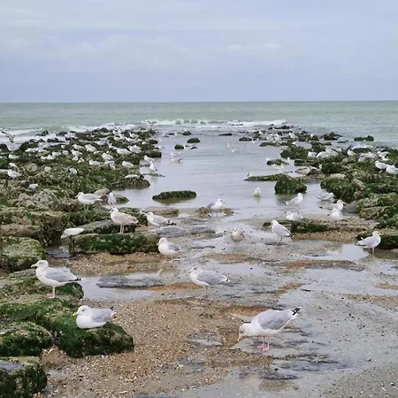 In Belgium Near The Sea Appartement Coxyde